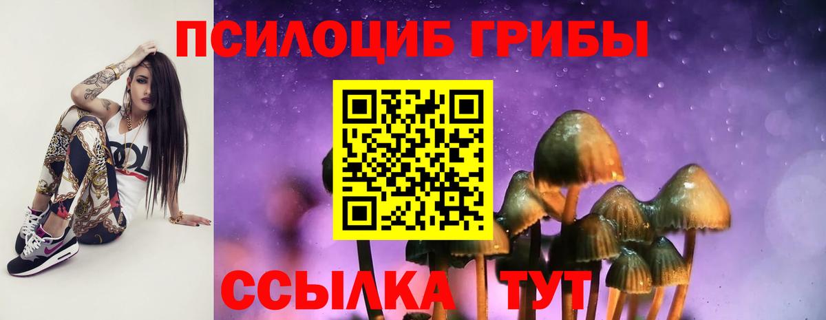 Галлюциногенные грибы Psilocybine cubensis Заволжье