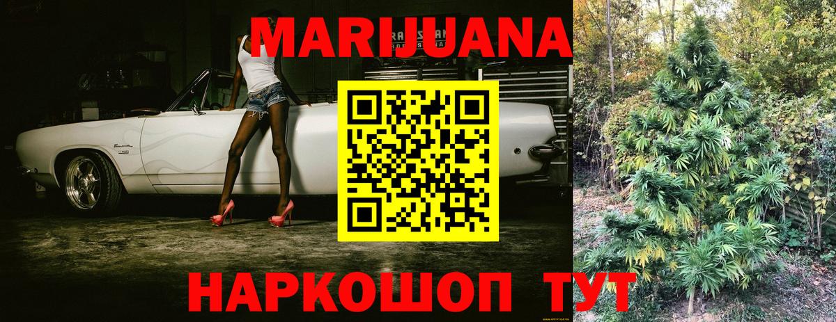 Заволжье  Конопля MAZAR  Канабис план  Канабис OG Kush  Вход с VPN  Бошки марихуана SATIVA & INDICA 